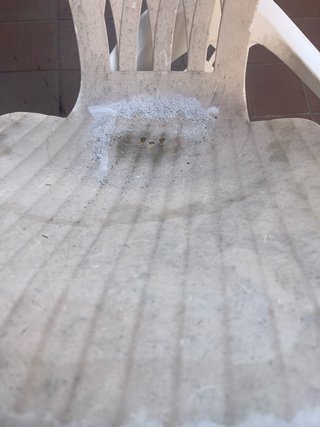 6 Sillas de Plástico Blancas