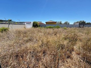 Casa rural en alquiler en Pelagatos - Pago del Humo en Chiclana de la Frontera