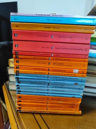 Lote 23 libros de lectura de Primaria.