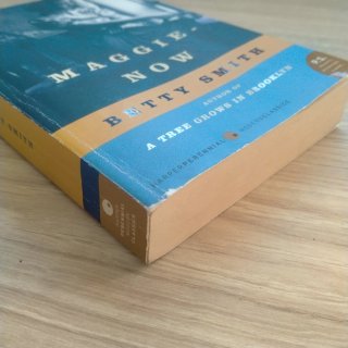 Maggie-Now A Novel