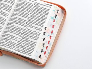 BIBLIA REINA VALERA 1960 SÚPER GIGANTE JARDIN C...