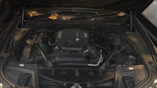 BMW Serie 5 520D vehiculo ingles matricula español