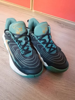 Zapatillas baloncesto nike