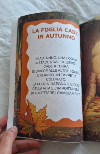 N. 2 libri per prime letture (prima elementare)