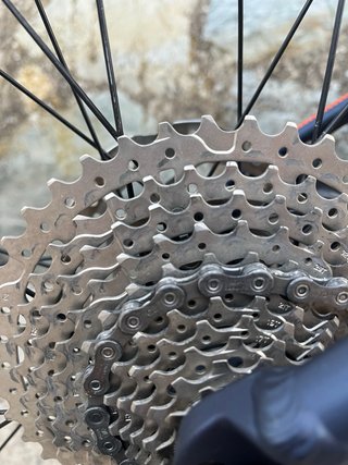 Orbea Alma H50