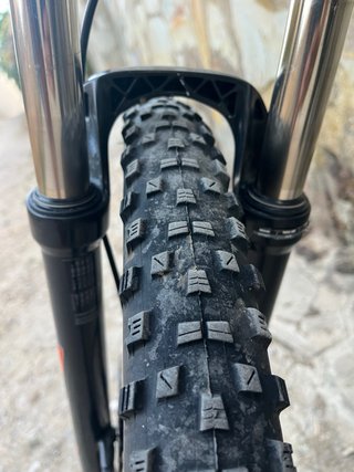 Orbea Alma H50