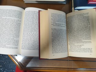 Lote Stephen King 2 libros.