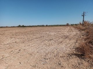 Terreno en venta en Palomares del Río
