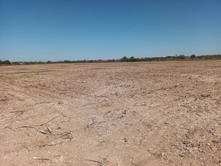 Terreno en venta en Palomares del Río