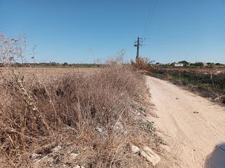 Terreno en venta en Palomares del Río