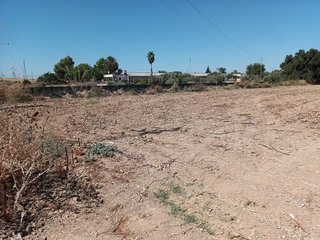 Terreno en venta en Palomares del Río