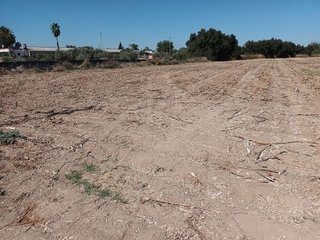 Terreno en venta en Palomares del Río