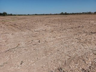 Terreno en venta en Palomares del Río