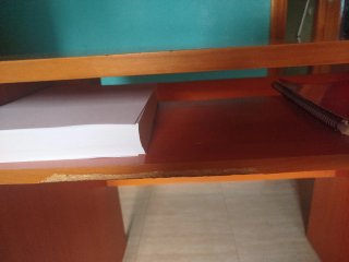 Escritorio de Madera con Estantería