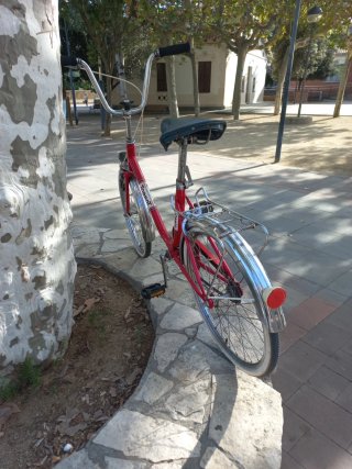 Bicicleta Torrot Roja