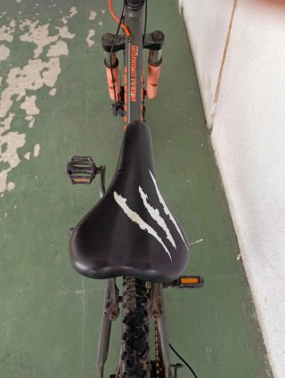 Bicicleta Infantil Wyldee de Aluminio