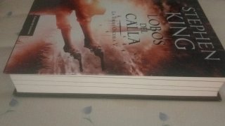 La torre oscura. Stephen King. LEER DESCRIPCIÓN