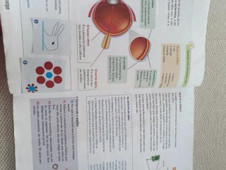 Ciencias da natureza, 6 Educación Primaria