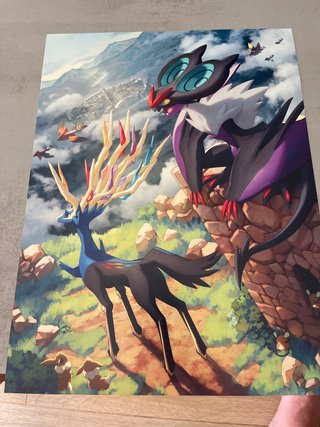 Póster Pokémon Xerneas y Noivern