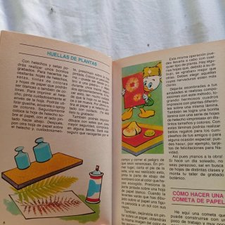 Biblioteca de los jóvenes castores
