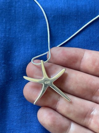Colgante Estrella de Mar de Plata 925