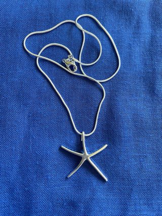 Colgante Estrella de Mar de Plata 925