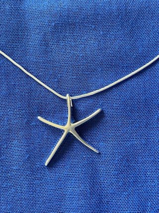 Colgante Estrella de Mar de Plata 925