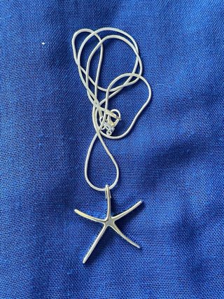 Colgante Estrella de Mar de Plata 925