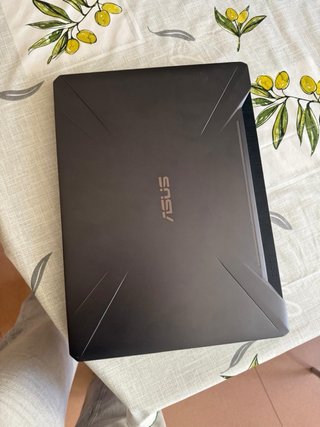 ASUS TUF Gaming FX505DT (modelo FX505DT-BQ208