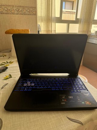 ASUS TUF Gaming FX505DT (modelo FX505DT-BQ208