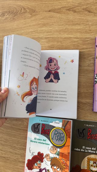 Lote libros español
