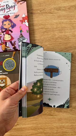 Lote libros español
