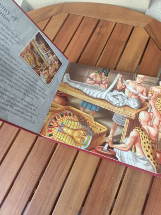 Libro en inglés