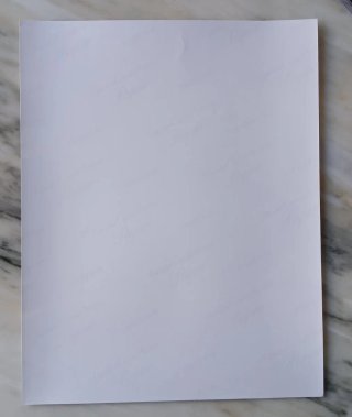 Foto Firmada Penélope Cruz 35x28cm (Beckett)
