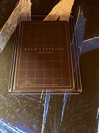 SL1E-074-P Solo Leveling Mapniverse Baek Yoonho.
