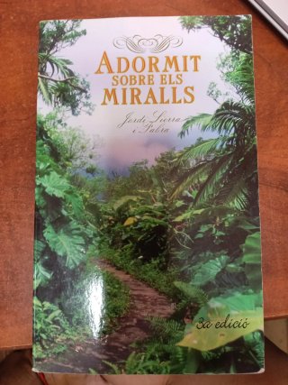 Adormit sobre els amiralls