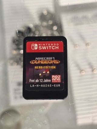 Nintendo Switch Minecraft Dungeons