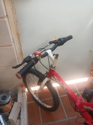 Bicicleta Infantil Topbike Roja