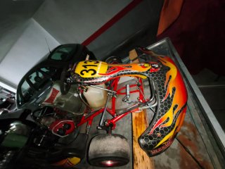Kart 125cc 2T Wild Kart