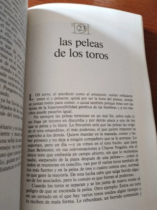 El toro bravo teoría y práctica de la bravura