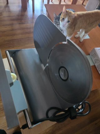 Cortafiambres Eléctrico