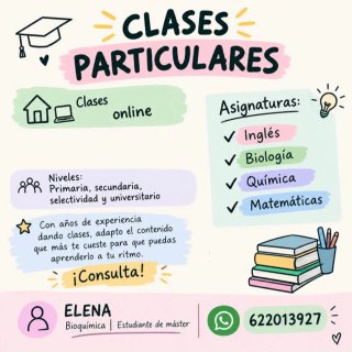 Clases particulares online