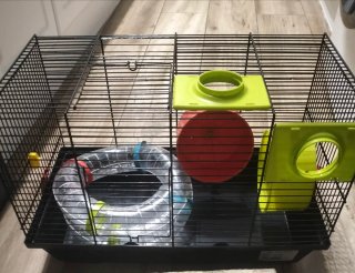 Jaula para Hámster con Accesorios