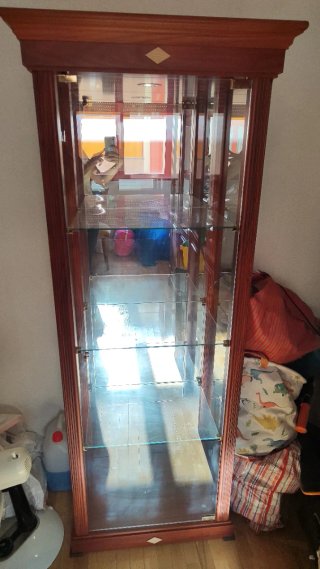 Vitrina de madera y cristal