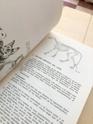 Libros para aprender a dibujar (lote 2u.)