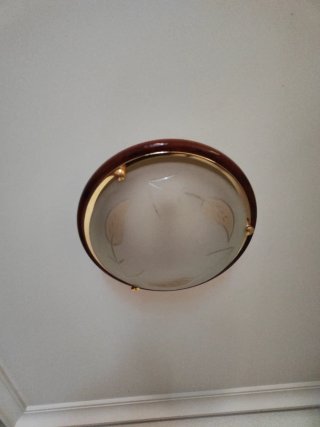 Lámpara de Techo con Diseño de Hojas