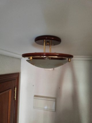 Lámpara de Techo con Diseño de Hojas