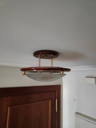 Lámpara de Techo con Diseño de Hojas