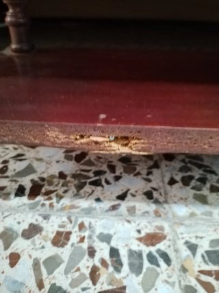 Estantería Vintage de Madera Oscura con Cuatro