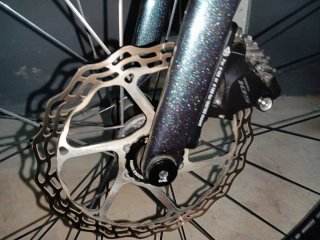 Giant TCR